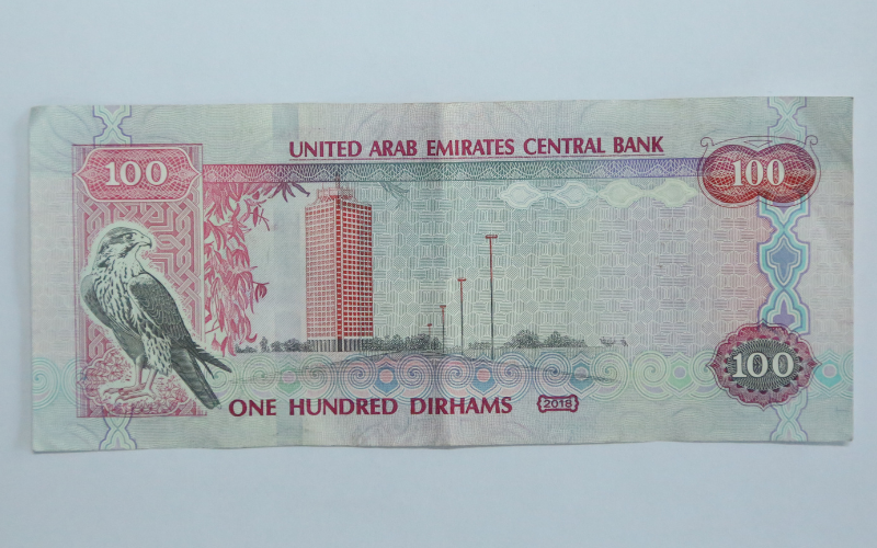 uae currency 100