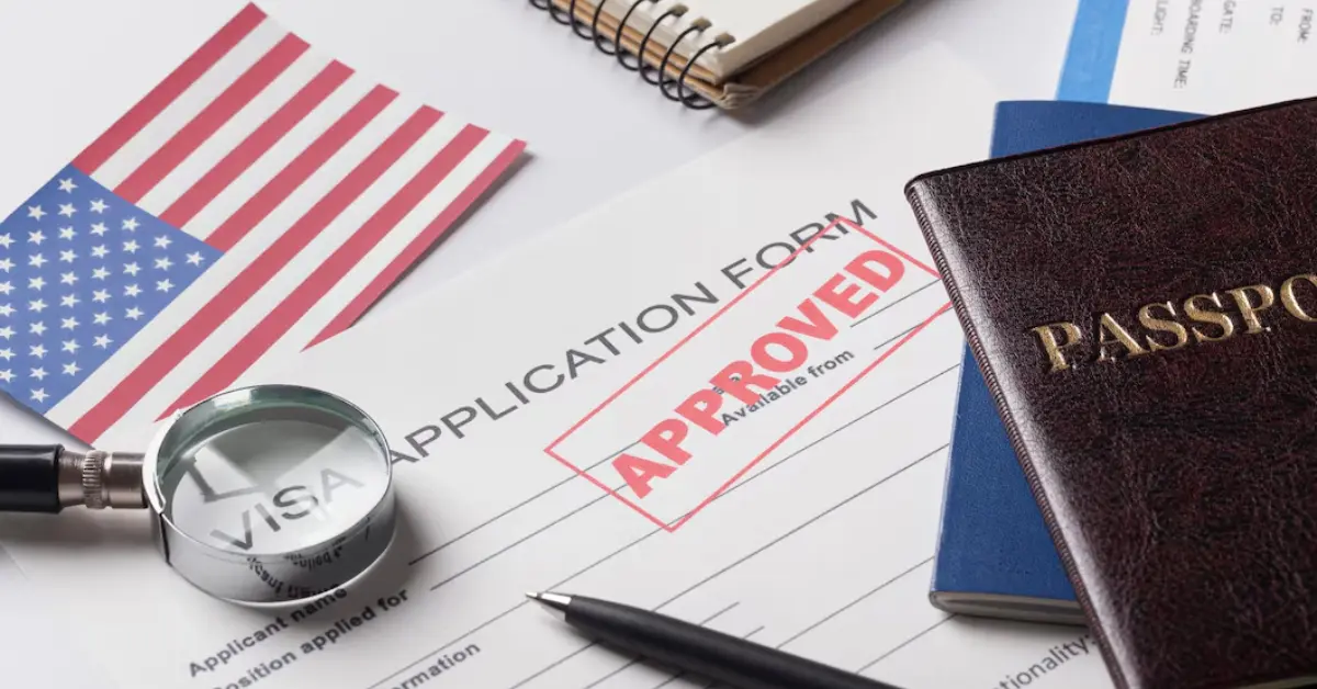 visa application process